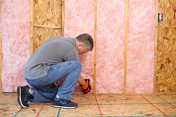 Best Insulation Maintenance and Repair in Chesterfield, SC